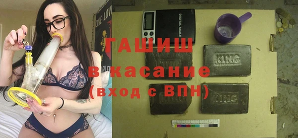 индика Балахна