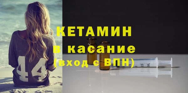 сатива Аркадак