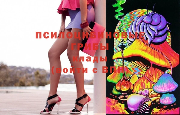 индика Балахна