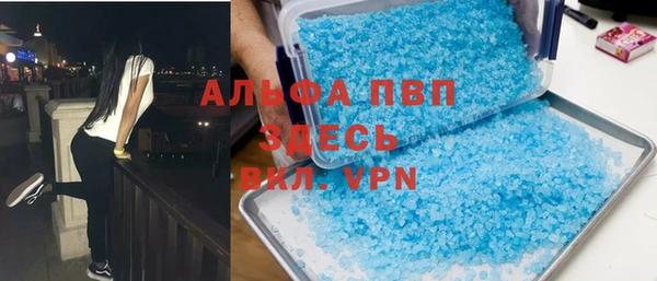 индика Балахна